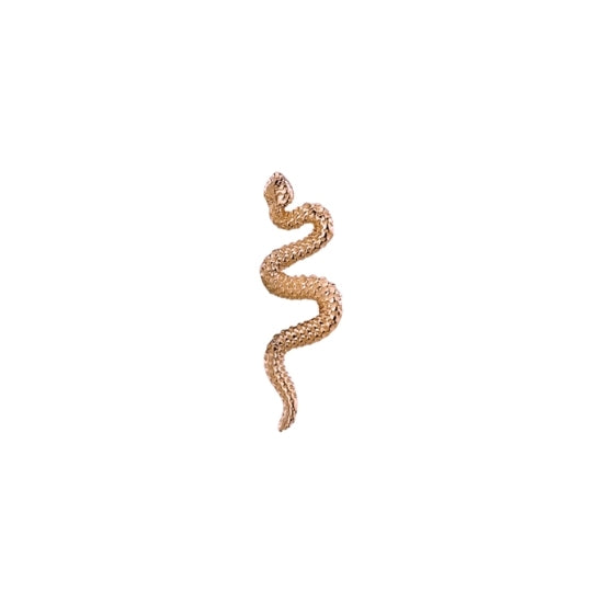 Delicate Snake