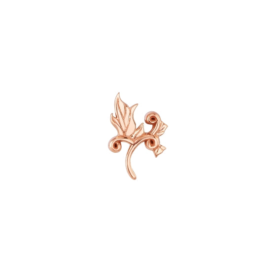 Madrone