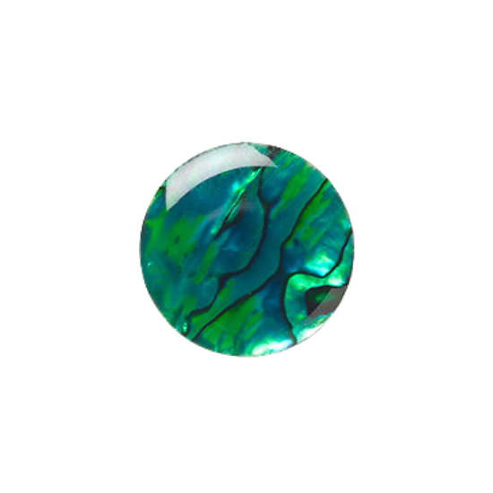 Gemini Navel Curve