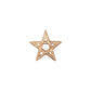 Pentagram Star Florentine