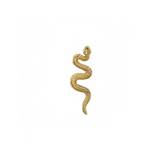 Delicate Snake