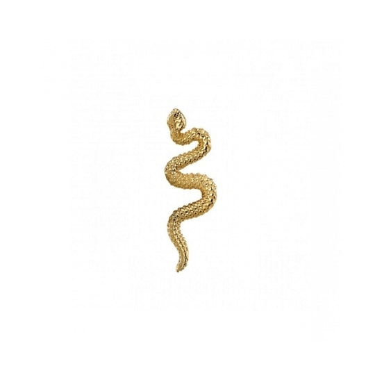 Delicate Snake