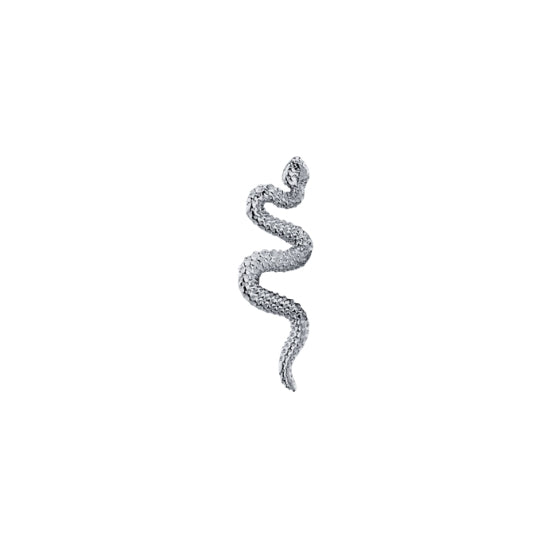 Delicate Snake