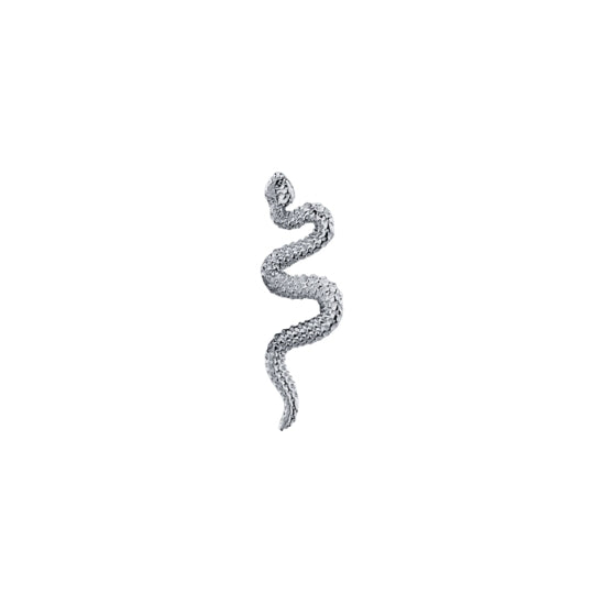 Delicate Snake