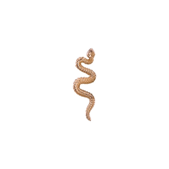 Delicate Snake
