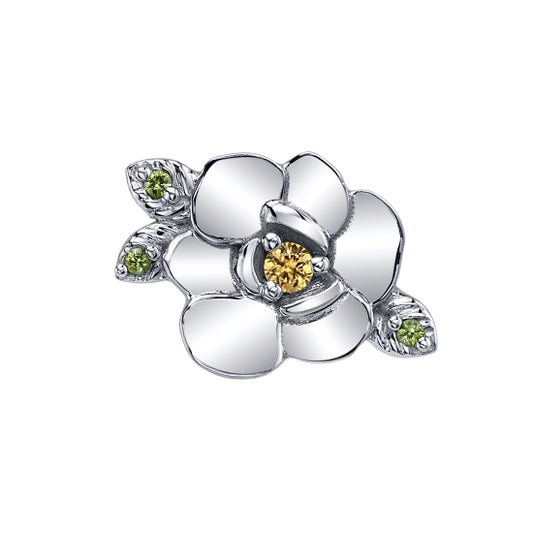 Magnolia