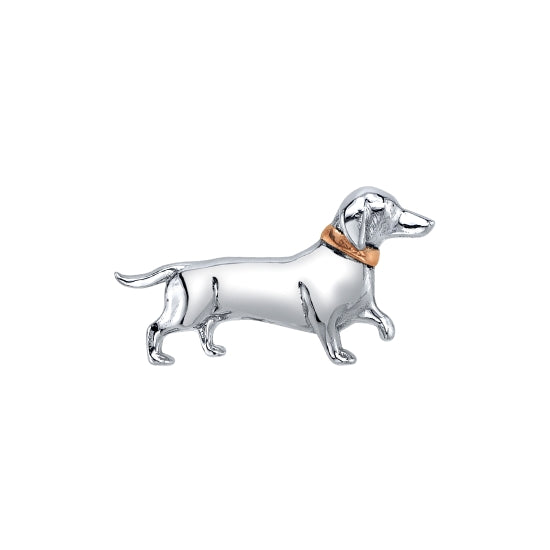 Dachshund