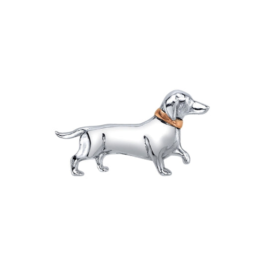 Dachshund