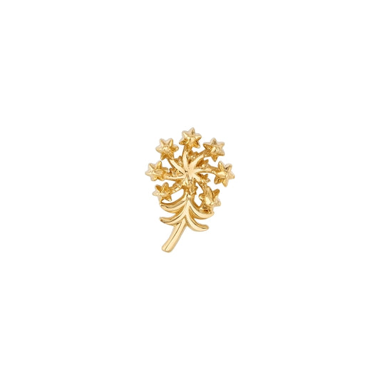 Flower of Socrates