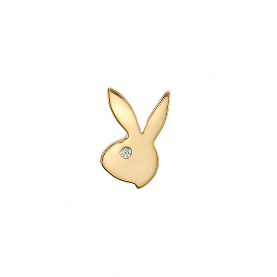 Piercing A Rabbit Bunny | 101 Piercing | BVLA