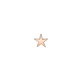 Flat Star Nostril Screw