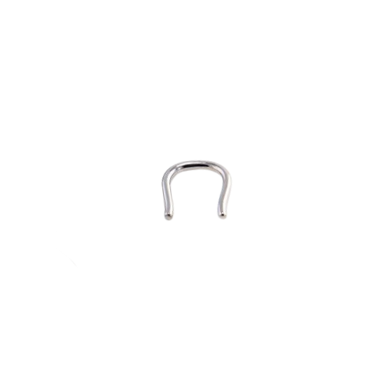 Indian Nose Ring Png Transparent, Png Download - 1000x1300(#681630) -  PngFind