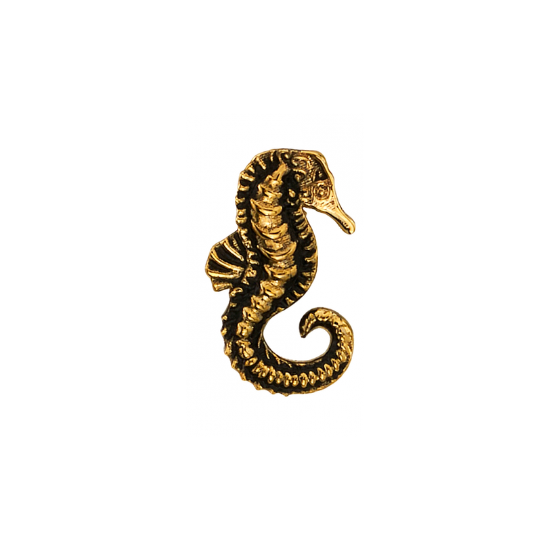 Seahorse